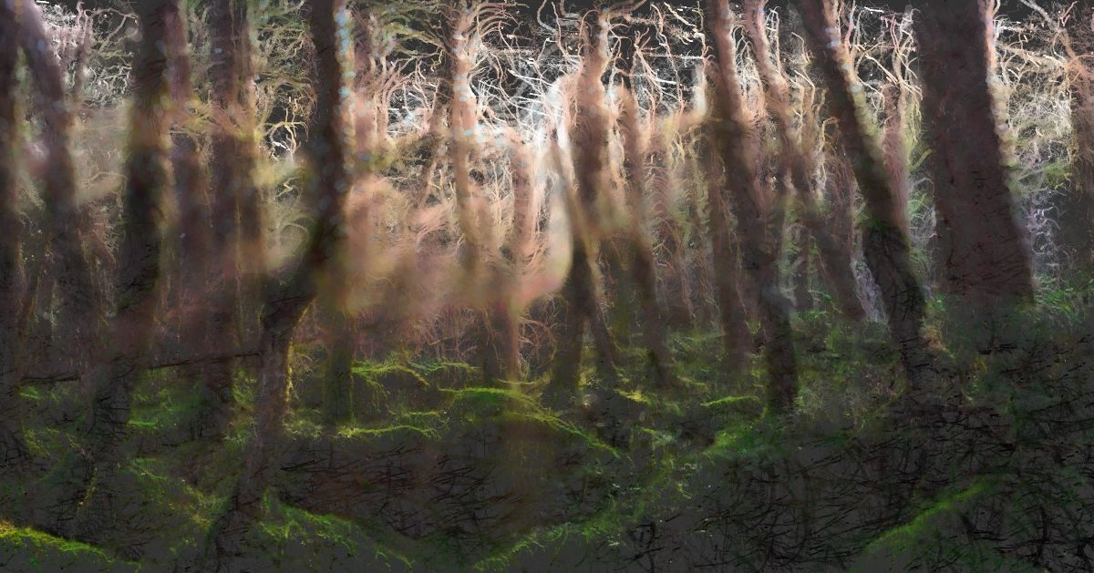 Mystisches Bild von einem Wald