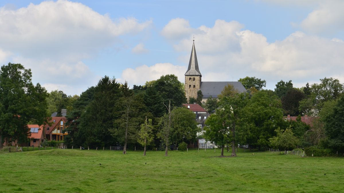 grüne Wiese von Burglesum. Im Hintergrund ragt der Kirchturm auf