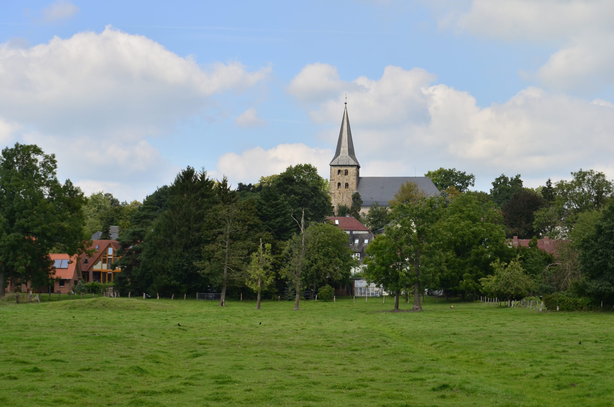 grüne Wiese von Burglesum. Im Hintergrund ragt der Kirchturm auf