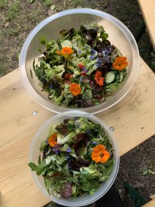 Zwei Schalen mit grünem Salat und Blumen