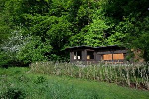 Ein kleines Holzhaus im Grünen