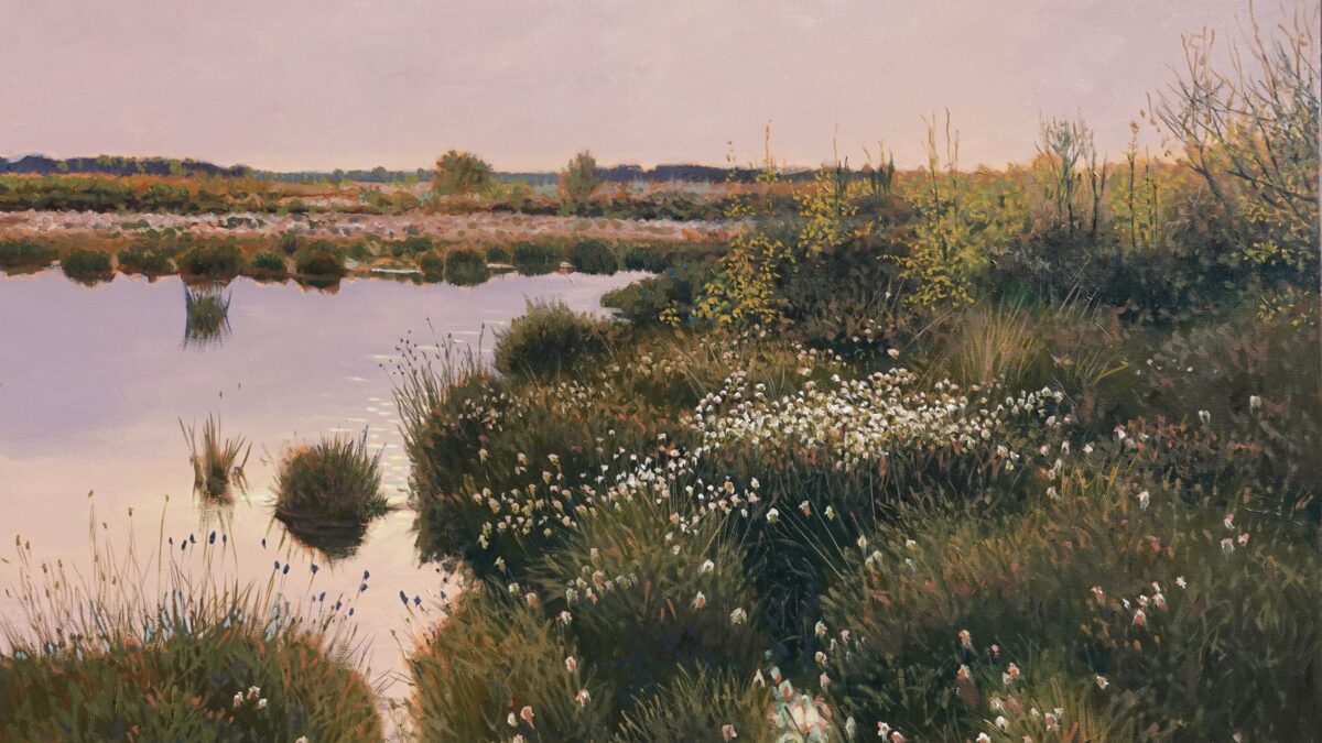Moorlandschaft in der Abenddämmerung