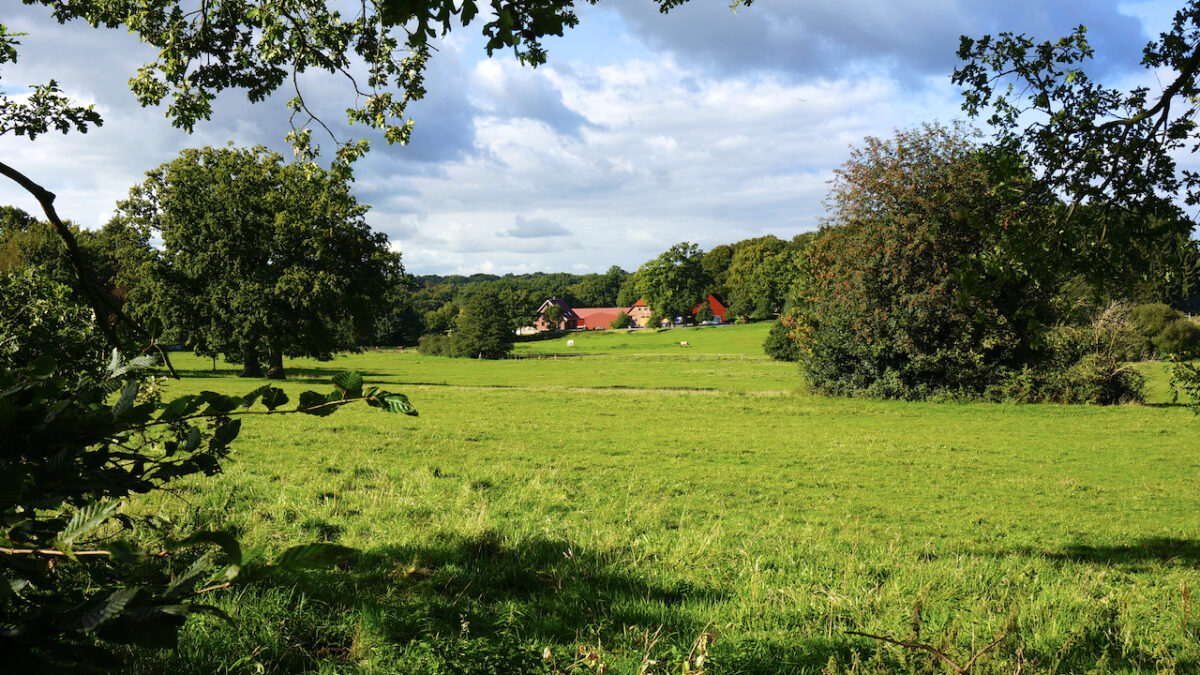 Leicht hügelige Grünlandschaft der Bremer Schweiz mit Wiesen und Wäldern. In der Mitte des Bildes ist ein Bauernhof zu sehen.